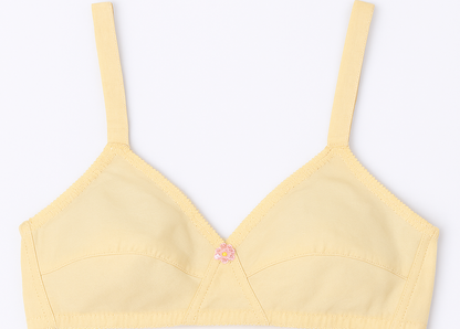 Cotton Sada Bra Pack of 3 – Mehroon, Black & Skin Color | Comfortable 3 Hook Non-Padded Bra for Women - 32