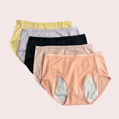 Leak-Proof Period Panty  5 pcs Bundle